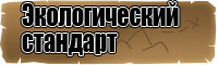 Сапоги эва с композитным подноском